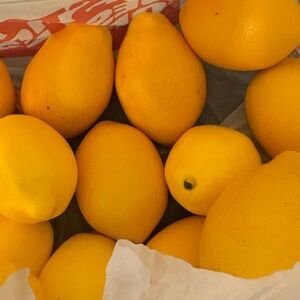 Yellow Lemons